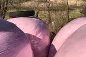 Silage-Ballen in rosa Plastik