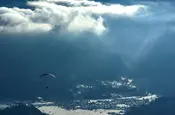 Paraglider