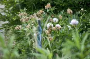 Serie Haltingen zeigt Fotos aus dem Markgräfler Land