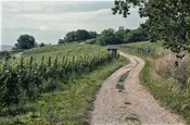 Serie Haltingen zeigt Fotos aus dem Markgräfler Land