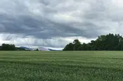 Ein Gewitter im Anzug