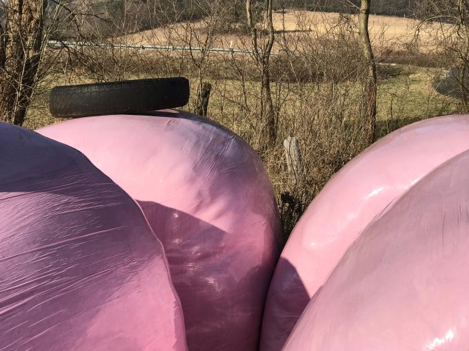 Silage-Ballen in rosa Plastik