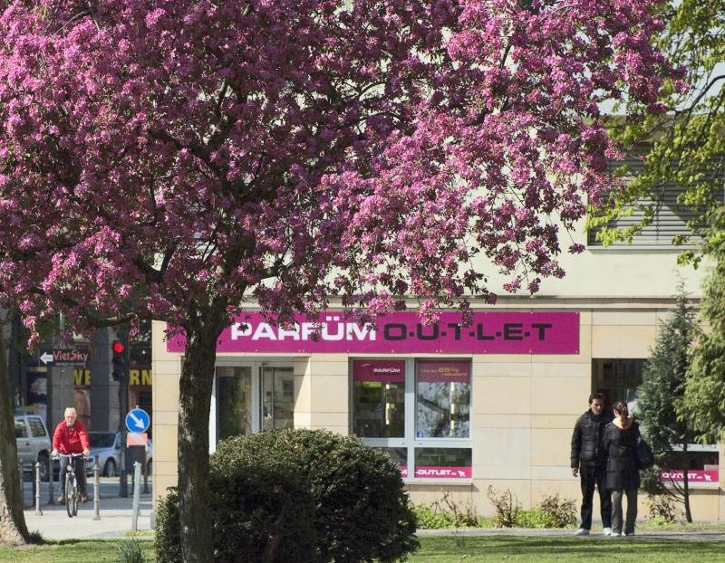 Ein rosa blühender baum vor einem rosa Ladenschild