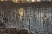 ein zugefrorener Teich