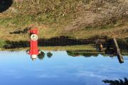 Ein Hydrant mitten in der Landschaft mit ein paar Schafen im Hintergrund